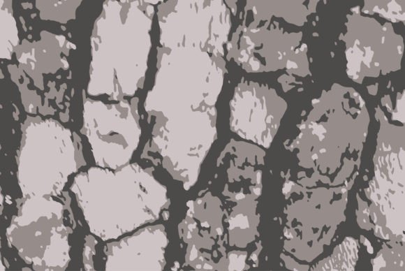 Download Tree Bark Texture Vector Illustration - Premium Bundle